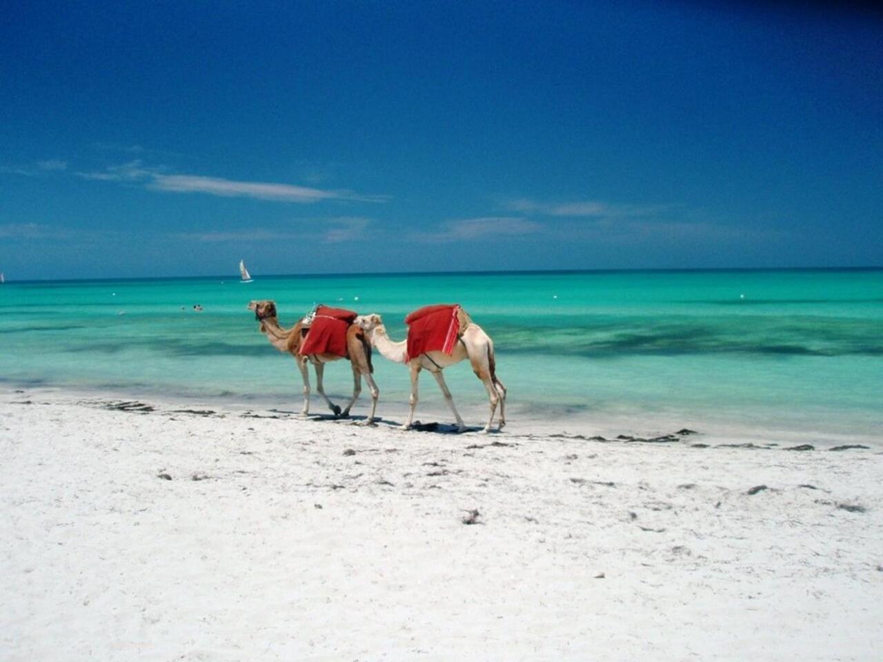 Tamalou Djerba Aparthotel *