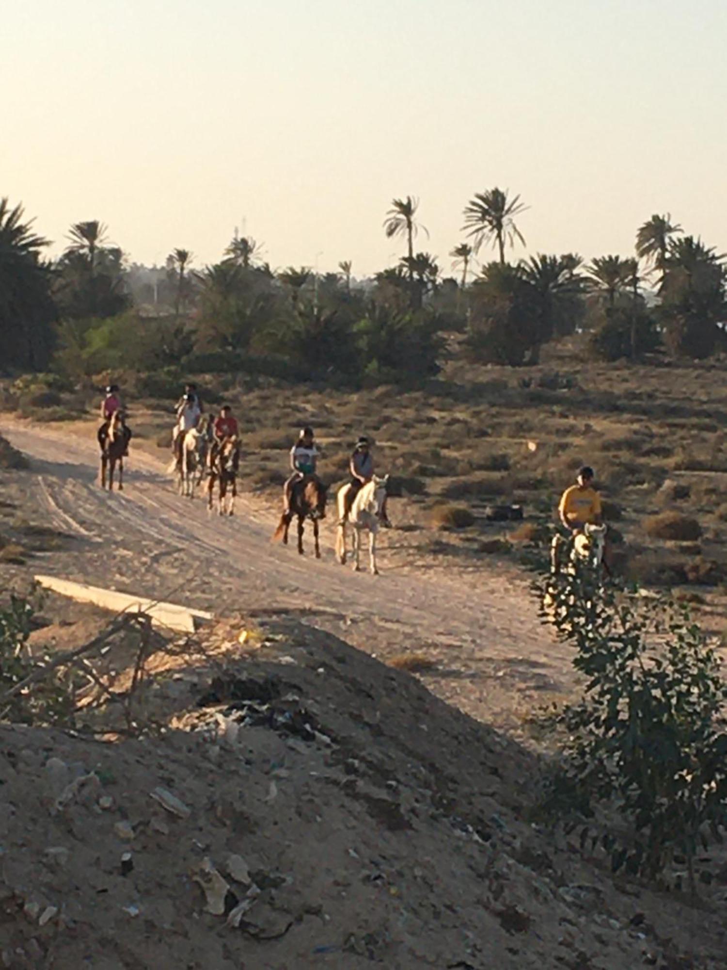 Tamalou Djerba Midoun
