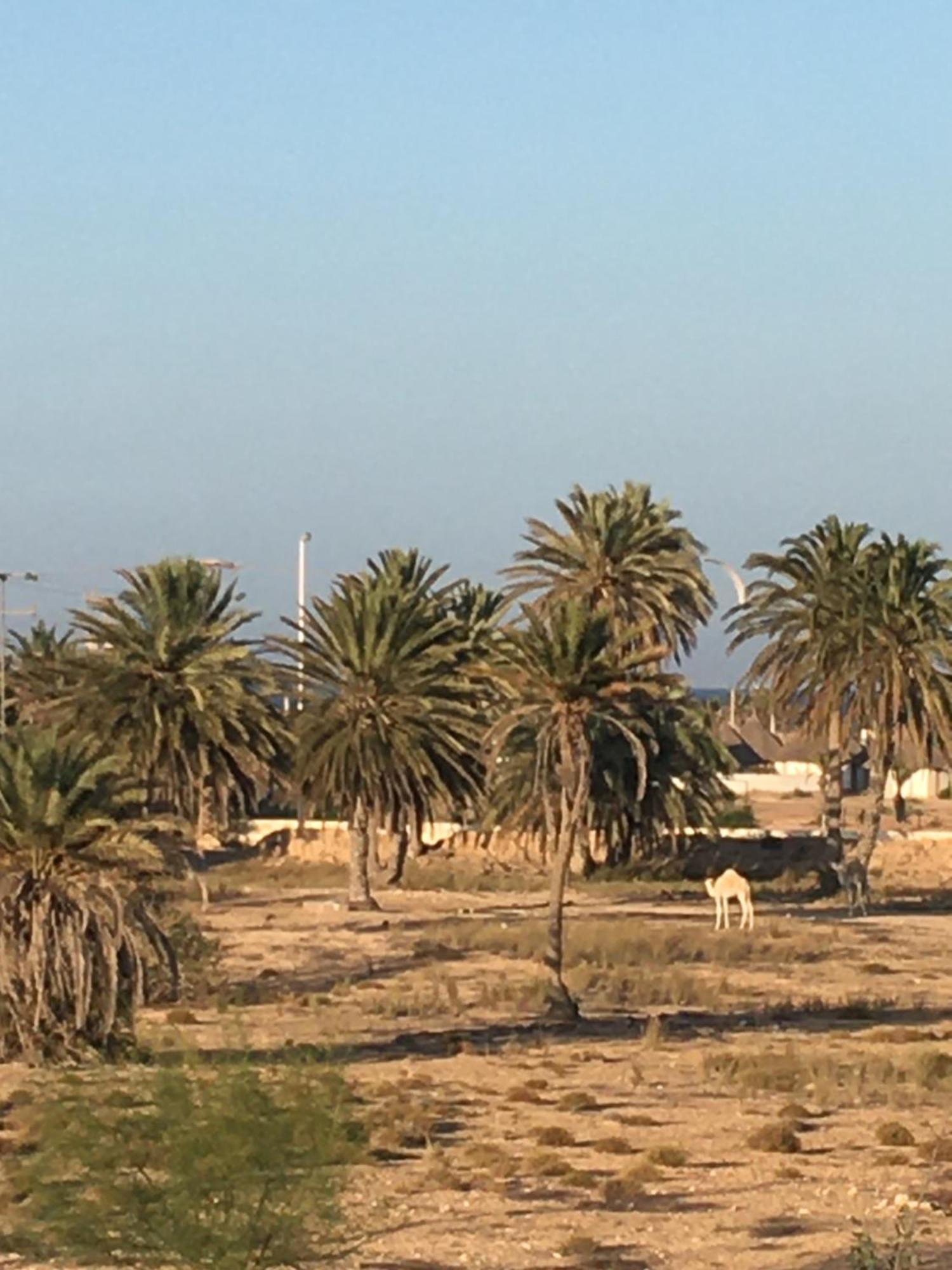 Aparthotel Tamalou Djerba
