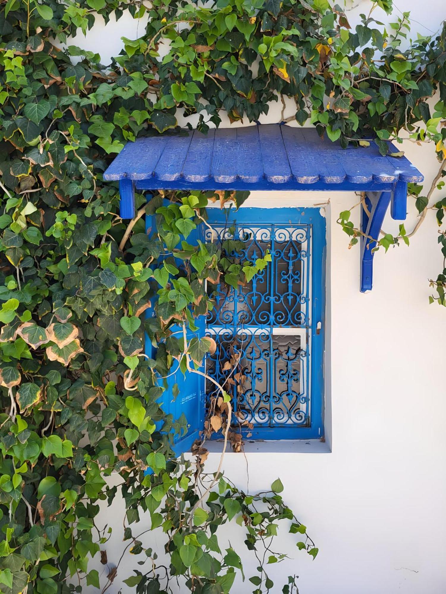 Tamalou Djerba * Midoun